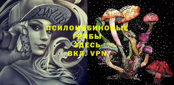 мдпв Балабаново