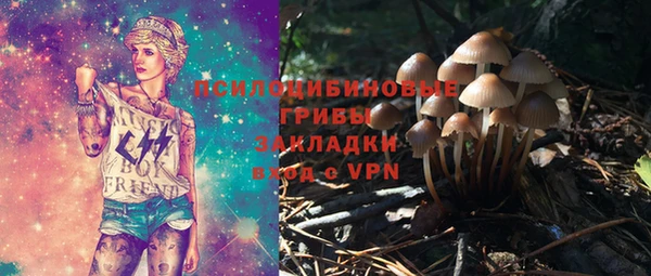 амф Богданович