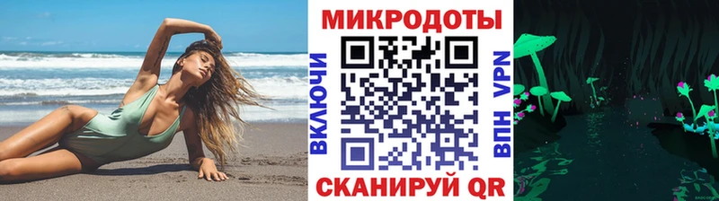 Псилоцибиновые грибы Psilocybine cubensis  Вуктыл 